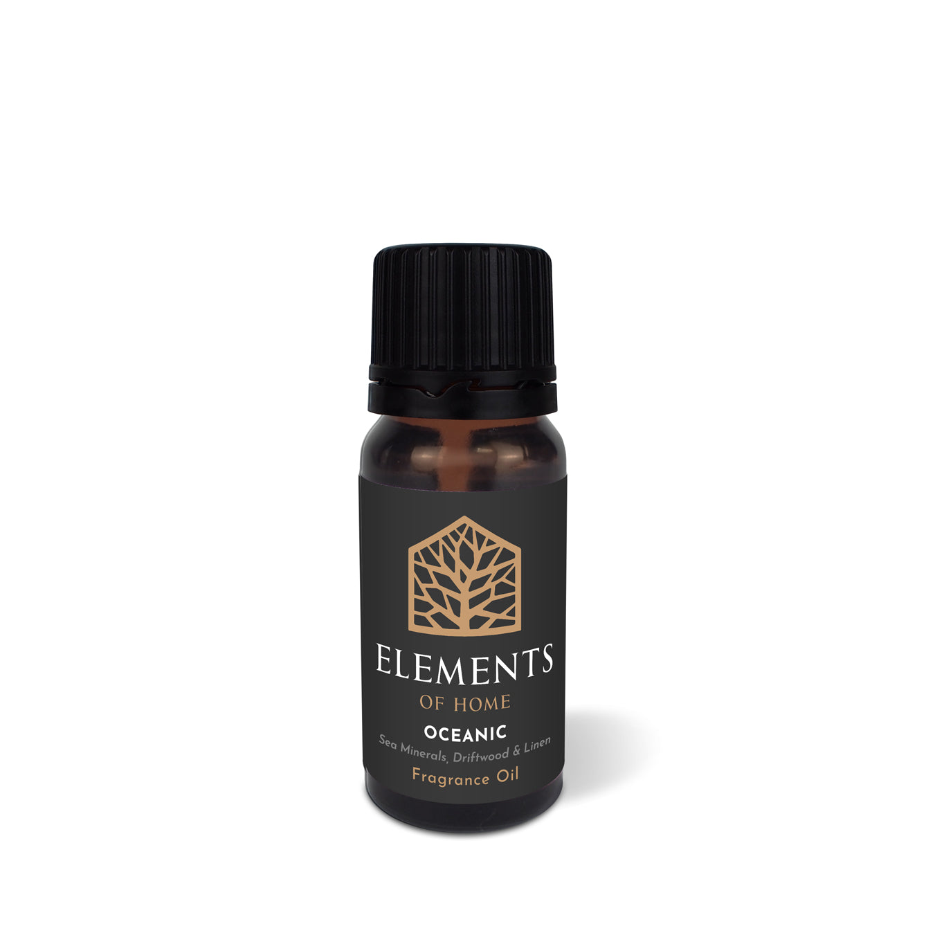 Oceanic 10ml Fragrance Oil | Elements Of Fragrance