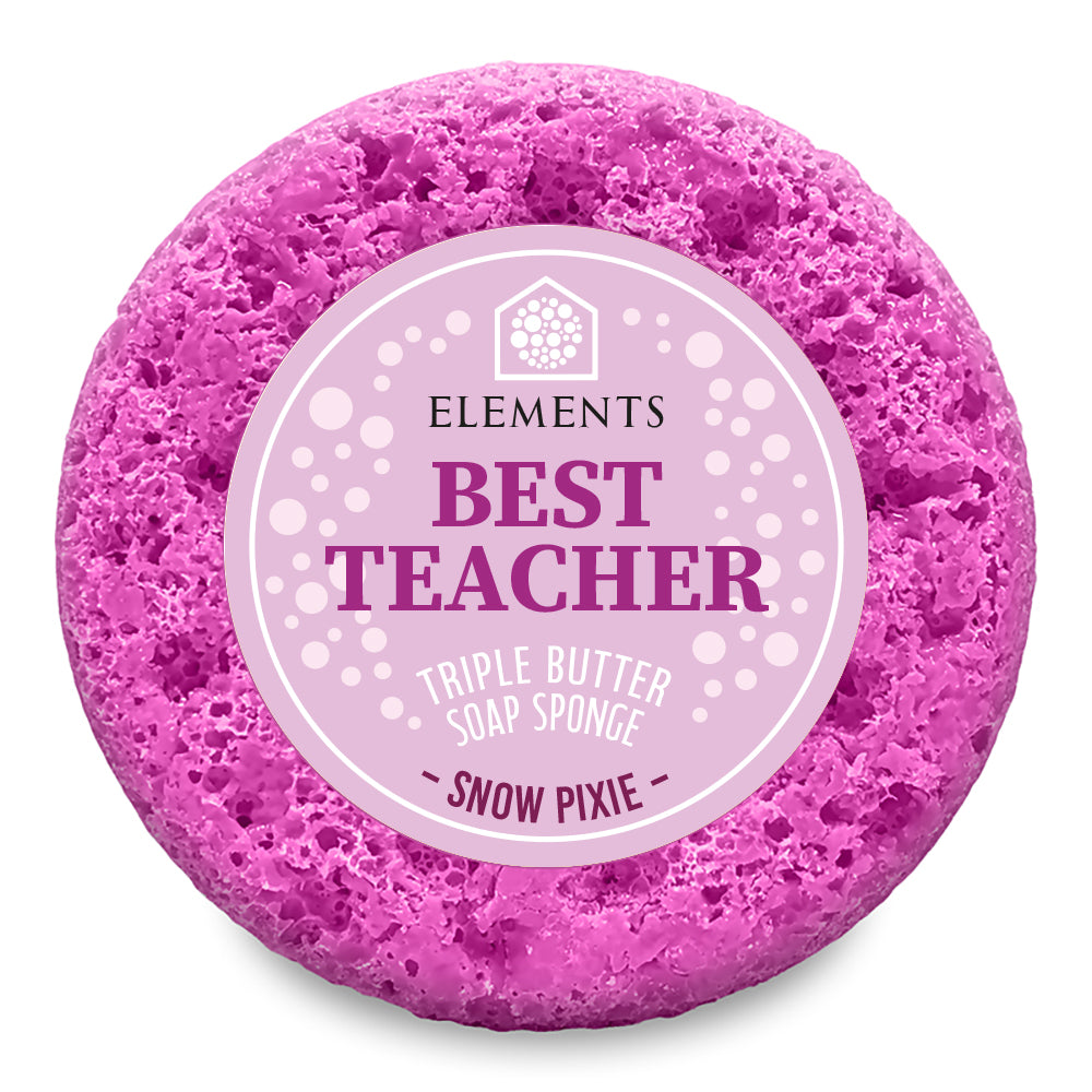 Best Teacher - Snow Pixie Soap Sponge