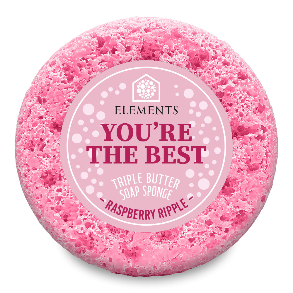 You're The Best - Raspberry Ripple Soap Sponge