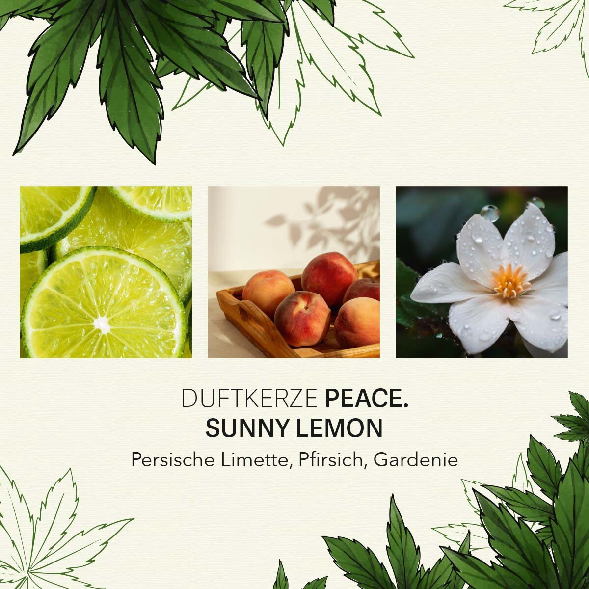 Peace - Sunny Lemon 350g CBD Scented Candle