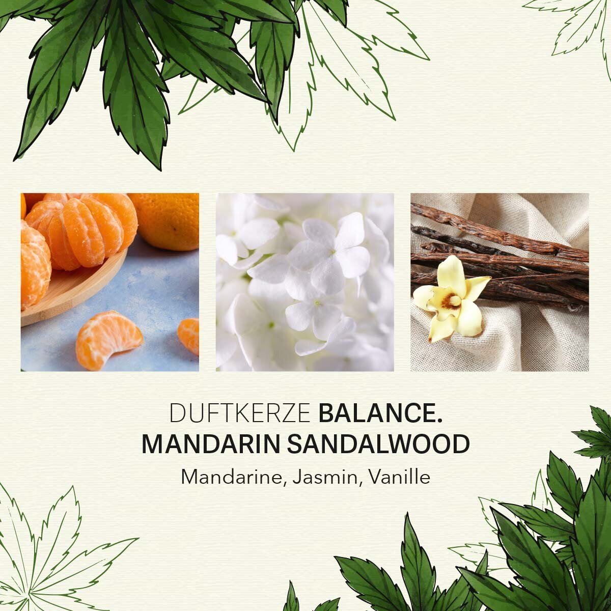 Balance - Mandarin Sandalwood 350g CBD Scented Candle