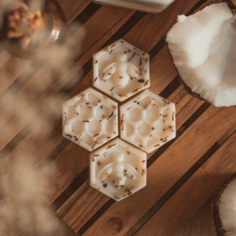 Coconut & Sandalwood - Wax Melt Display Box - 52 x 16g