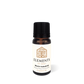 Elements of Fragrance - Beach Paradise - Fragrance Oil