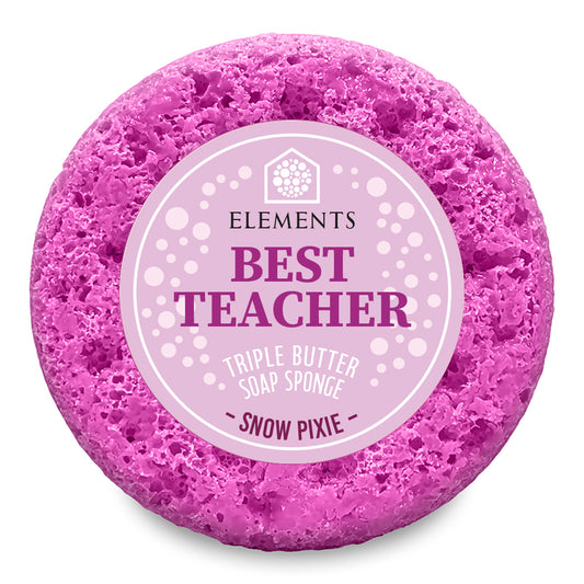 Best Teacher - Snow Pixie Soap Sponge