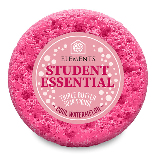 Student Essential Cool Watermelon Soap Sponge