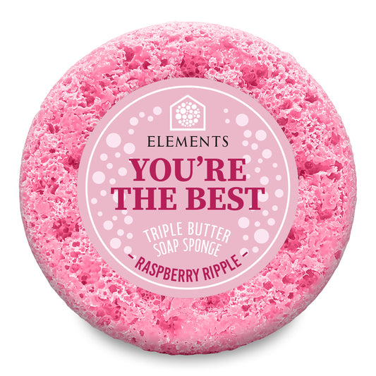 You're The Best - Raspberry Ripple Soap Sponge