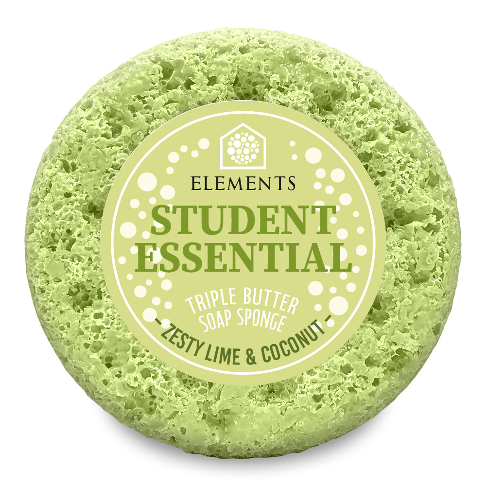 Student Essential - Zesty Lime & Coconut Soap Sponge