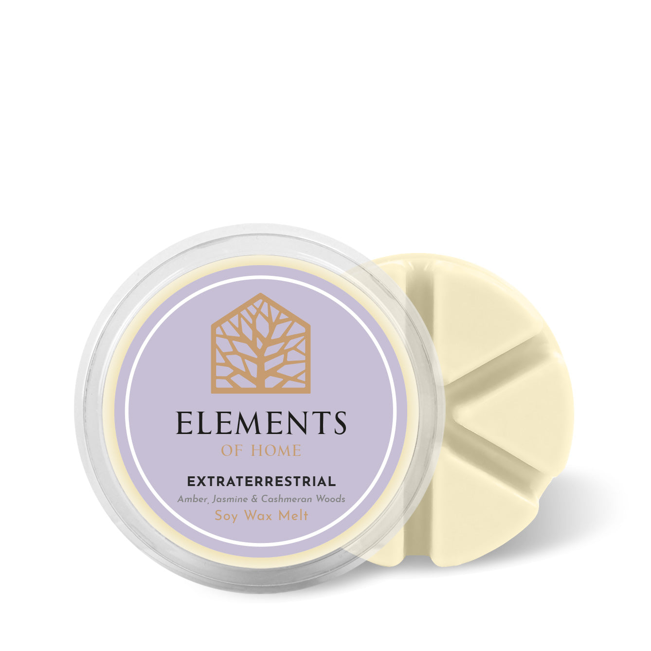 Extraterrestial Wax Melt 50g