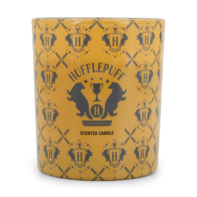 Harry Potter FSDU Wholesale Candle Display Hufflepuff Candle