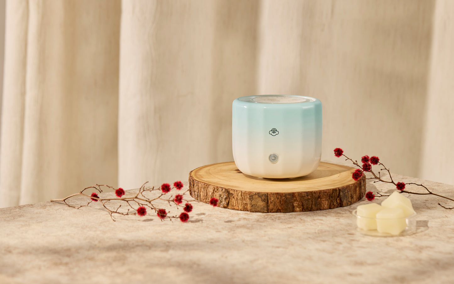 Haz Wax Warmer