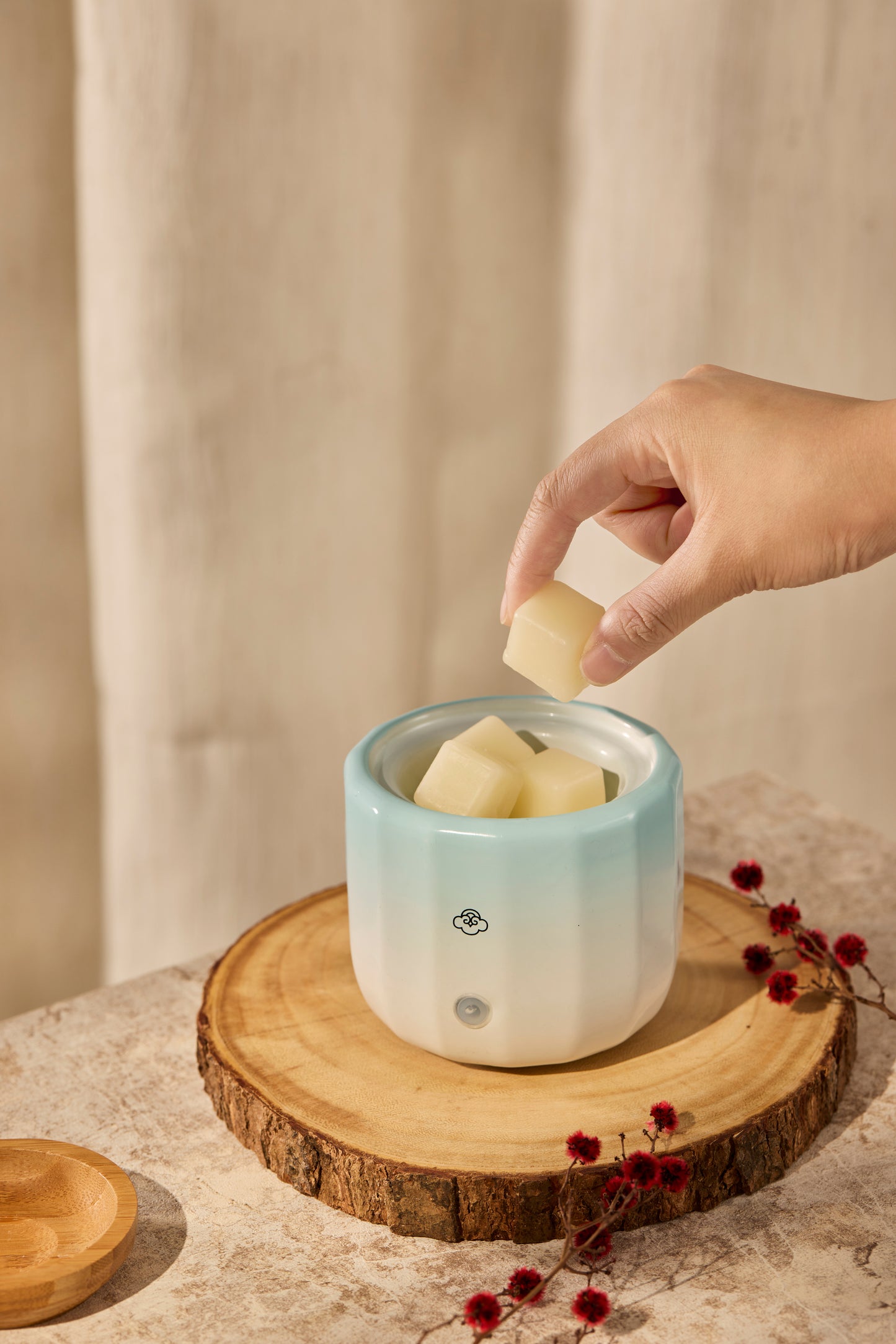 Haz Wax Warmer