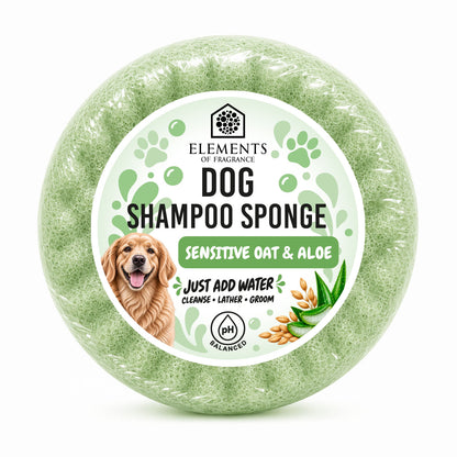 Dog Shampoo Sponge CDU