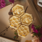 Spring Awakening - Wax Melt Display Box - 52 x 16g