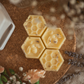 Wild Flower Bloom - Wax Melt Display Box - 52 x 16g
