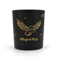 Harry Potter Black & Gold 20 x 135g Scented Candle CDU