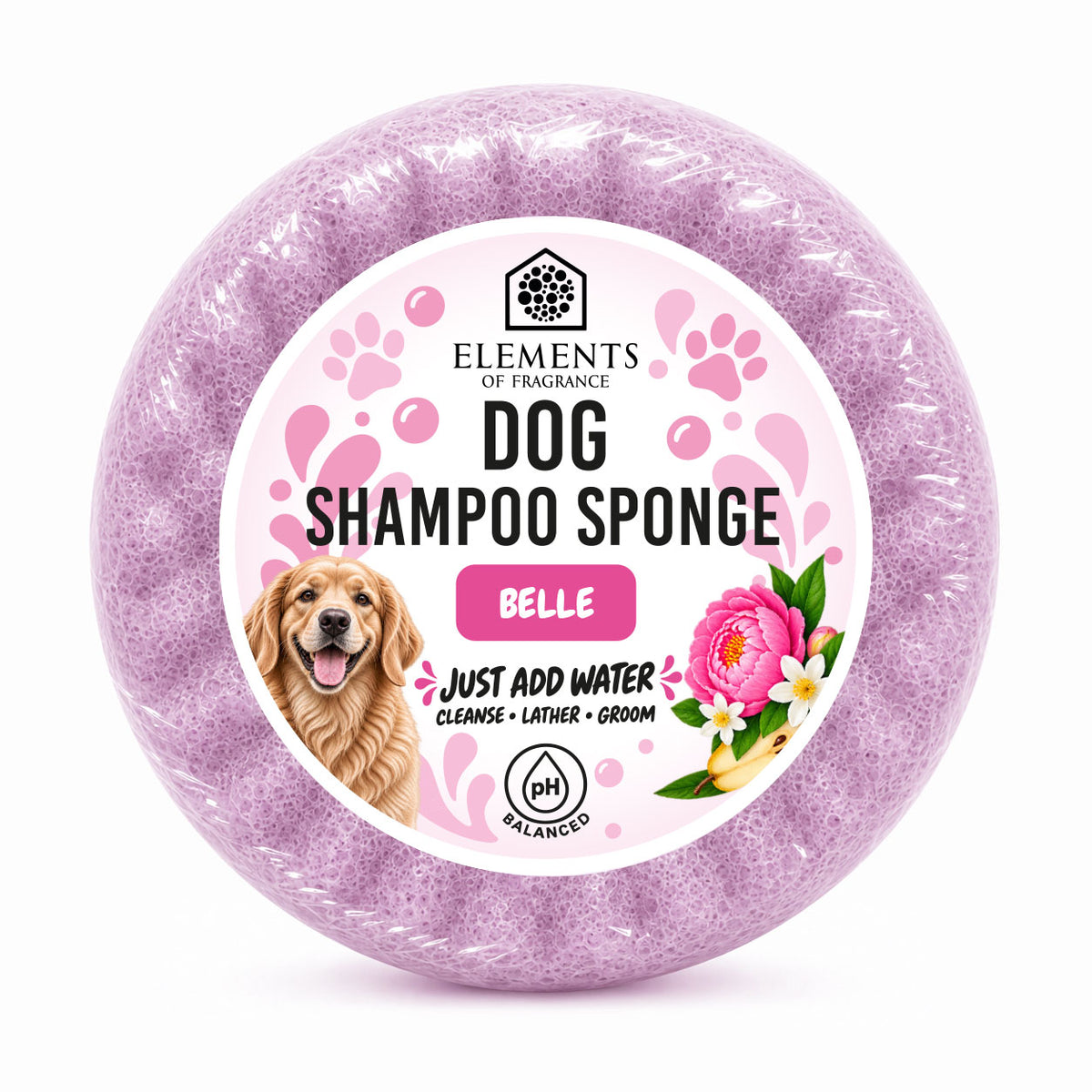Dog Shampoo Sponge CDU