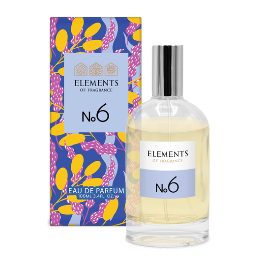 No6 Inspired by Lady Millions 100ml Wholesale Perfume UK