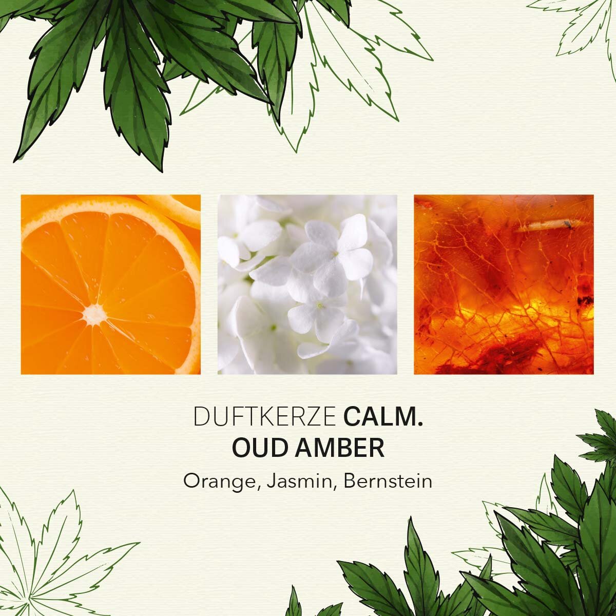 Calm - Oud Amber 350g CBD Scented Candle