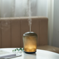 Serene House Cactus Aroma Diffusers