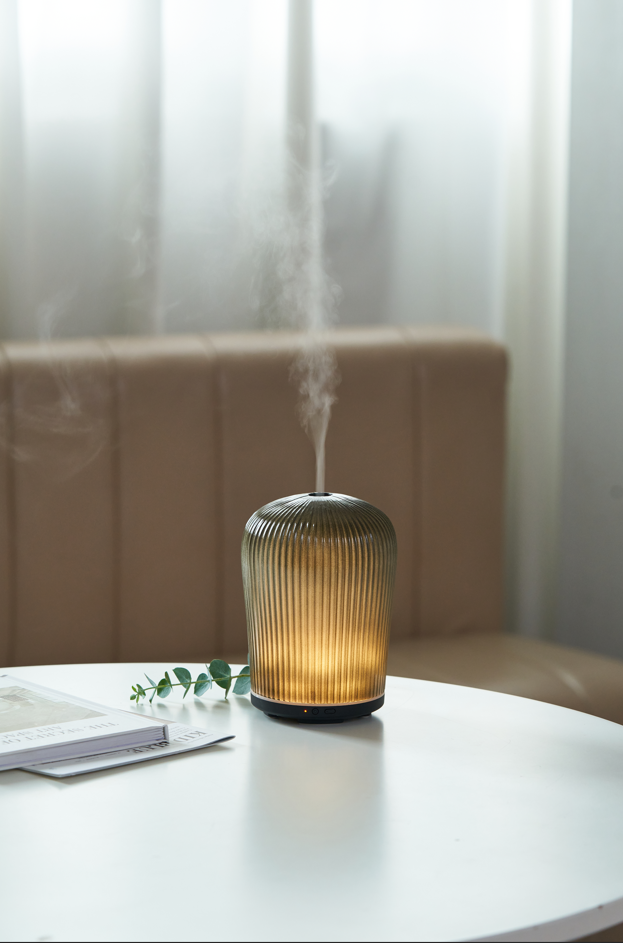 Serene House Cactus Aroma Diffusers